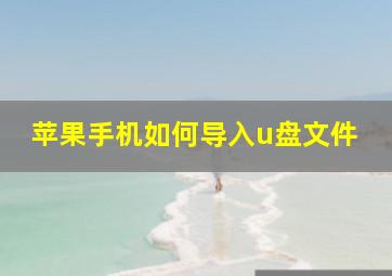 苹果手机如何导入u盘文件