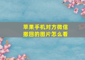 苹果手机对方微信撤回的图片怎么看