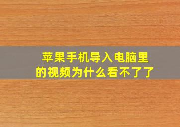 苹果手机导入电脑里的视频为什么看不了了