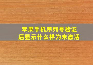 苹果手机序列号验证后显示什么样为未激活