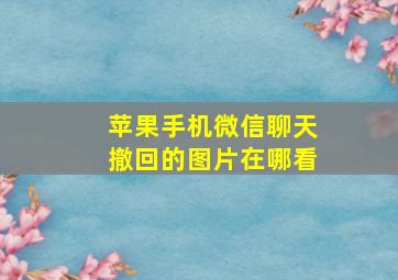 苹果手机微信聊天撤回的图片在哪看