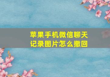 苹果手机微信聊天记录图片怎么撤回