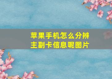 苹果手机怎么分辨主副卡信息呢图片