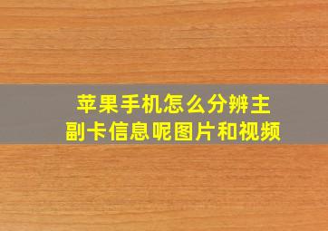 苹果手机怎么分辨主副卡信息呢图片和视频