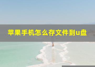 苹果手机怎么存文件到u盘