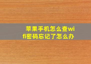 苹果手机怎么查wifi密码忘记了怎么办