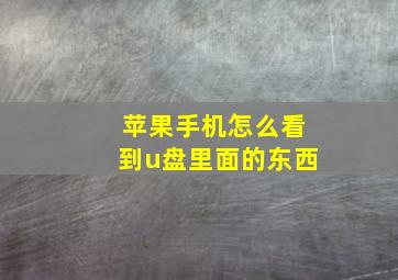 苹果手机怎么看到u盘里面的东西