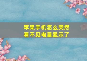 苹果手机怎么突然看不见电量显示了