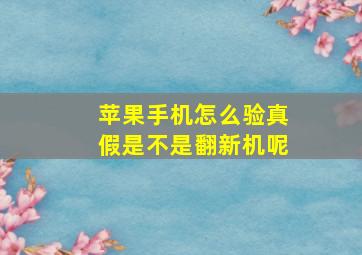 苹果手机怎么验真假是不是翻新机呢