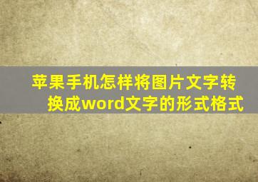 苹果手机怎样将图片文字转换成word文字的形式格式