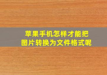 苹果手机怎样才能把图片转换为文件格式呢