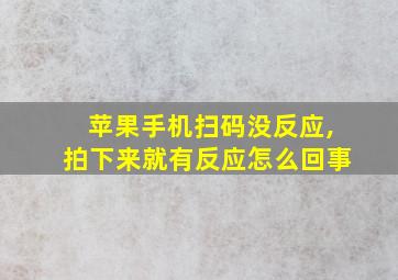 苹果手机扫码没反应,拍下来就有反应怎么回事