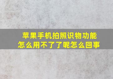 苹果手机拍照识物功能怎么用不了了呢怎么回事