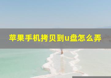 苹果手机拷贝到u盘怎么弄