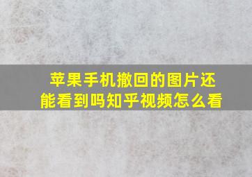 苹果手机撤回的图片还能看到吗知乎视频怎么看