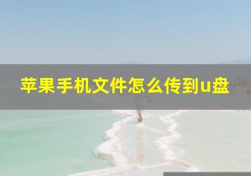 苹果手机文件怎么传到u盘