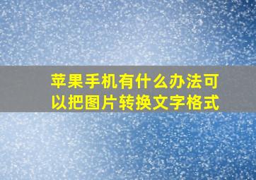 苹果手机有什么办法可以把图片转换文字格式