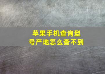 苹果手机查询型号产地怎么查不到