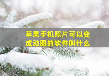 苹果手机照片可以变成动图的软件叫什么