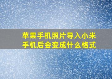 苹果手机照片导入小米手机后会变成什么格式