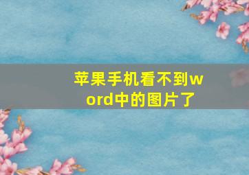 苹果手机看不到word中的图片了