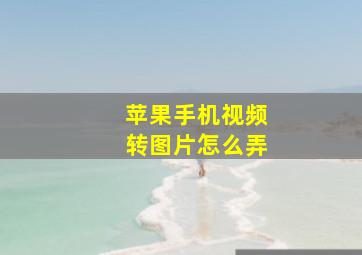 苹果手机视频转图片怎么弄