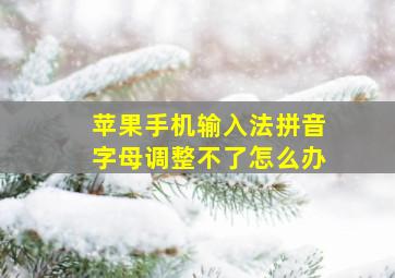 苹果手机输入法拼音字母调整不了怎么办