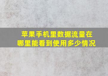 苹果手机里数据流量在哪里能看到使用多少情况