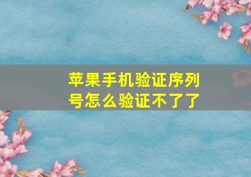 苹果手机验证序列号怎么验证不了了