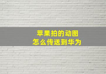 苹果拍的动图怎么传送到华为