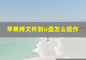 苹果拷文件到u盘怎么操作