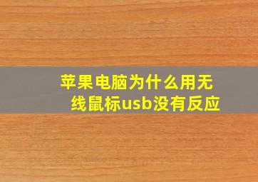 苹果电脑为什么用无线鼠标usb没有反应