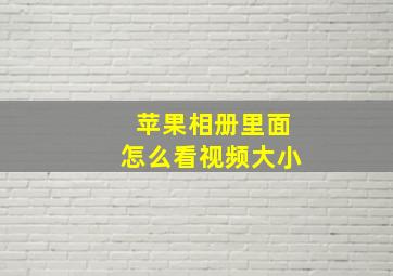 苹果相册里面怎么看视频大小