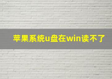 苹果系统u盘在win读不了