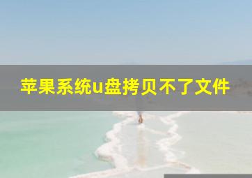 苹果系统u盘拷贝不了文件