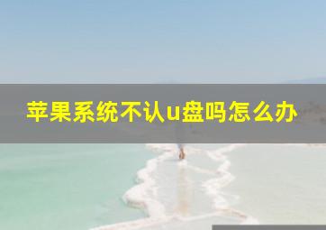 苹果系统不认u盘吗怎么办