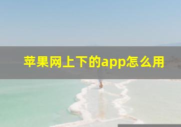 苹果网上下的app怎么用