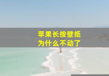 苹果长按壁纸为什么不动了