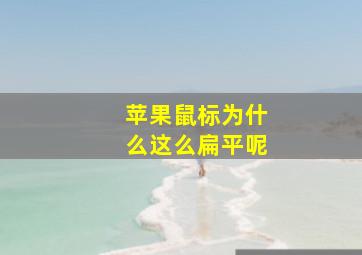 苹果鼠标为什么这么扁平呢