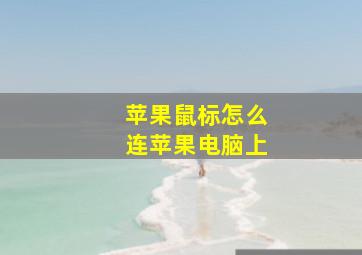 苹果鼠标怎么连苹果电脑上