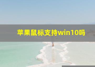 苹果鼠标支持win10吗