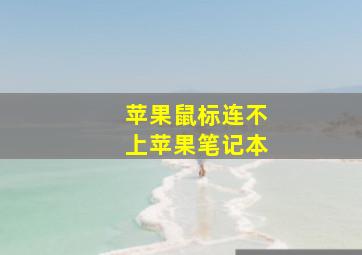 苹果鼠标连不上苹果笔记本