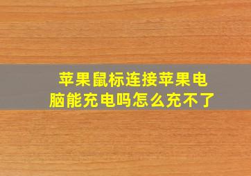 苹果鼠标连接苹果电脑能充电吗怎么充不了