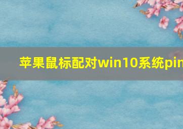 苹果鼠标配对win10系统pin