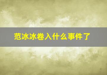 范冰冰卷入什么事件了