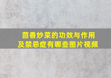 茴香炒菜的功效与作用及禁忌症有哪些图片视频