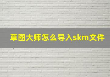 草图大师怎么导入skm文件