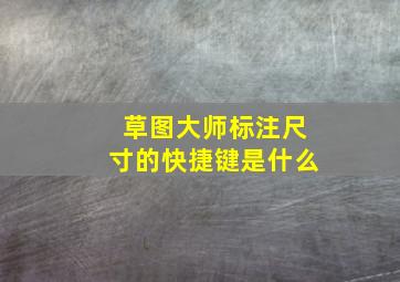 草图大师标注尺寸的快捷键是什么