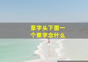 草字头下面一个覃字念什么