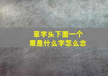 草字头下面一个覃是什么字怎么念